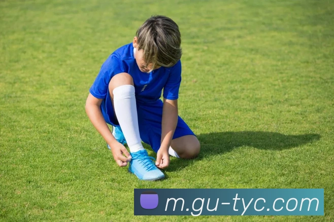 澳门太阳城平台生态图